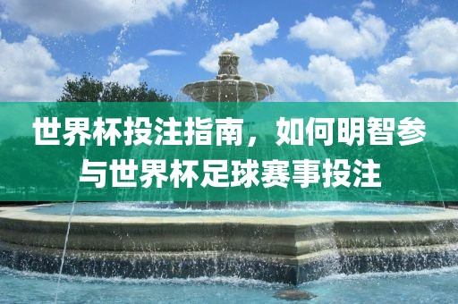 世界杯投注指南，如何明智参与世界杯足球赛事投注