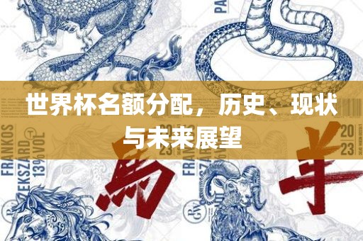 世界杯名额分配，历史、现状与未来展望