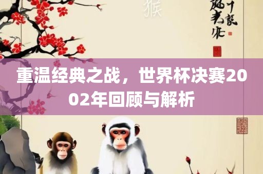 重温经典之战，世界杯决赛2002年回顾与解析