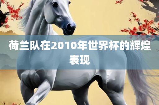 荷兰队在2010年世界杯的辉煌表现