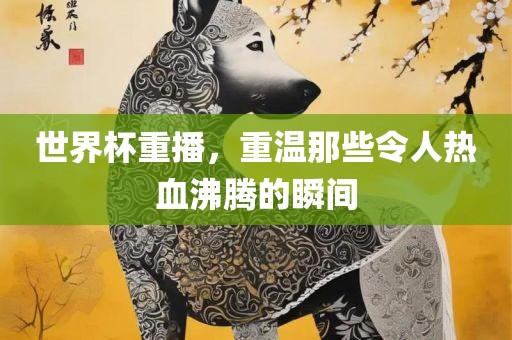 世界杯重播，重温那些令人热血沸腾的瞬间金炬实业股份有限公司