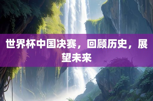 世界杯中国决赛，回顾历史，展望未来