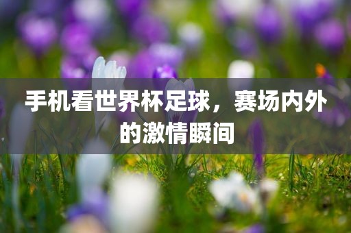 手机看世界杯足球，赛场内外的激情瞬间