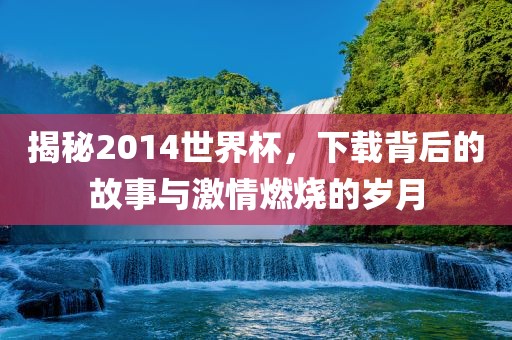 揭秘2014世界杯，下载背后的故事与激情燃烧的岁月