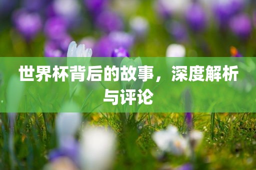 世界杯背后的故事，深度解析与评论
