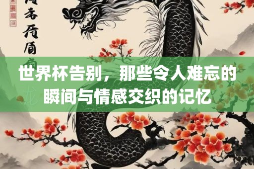 世界杯告别，那些令人难忘的瞬间与情感交织的记忆