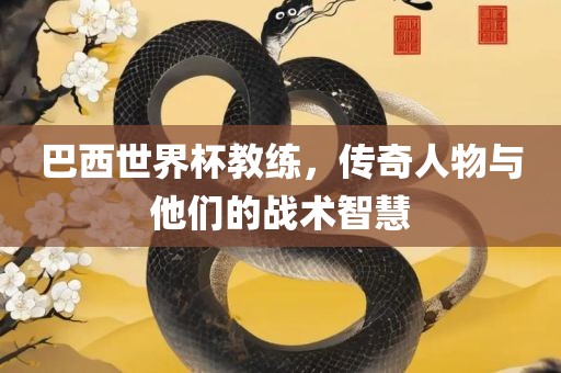 巴西世界杯教练，传奇人物与他们的战术智慧