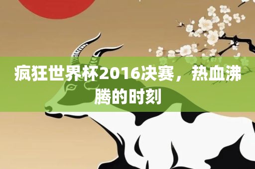 疯狂世界杯2016决赛，热血沸腾的时刻