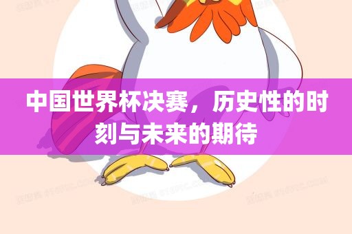 中国世界杯决赛，历史性的时刻与未来的期待