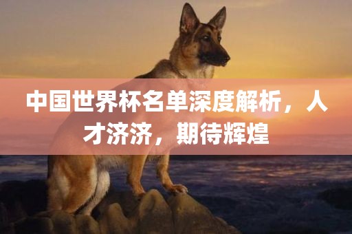中国世界杯名单深度解析，人才济济，期待辉煌