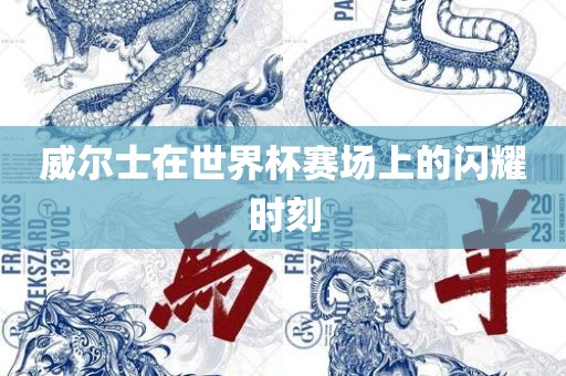 威尔士在世界杯赛场上的闪耀时刻