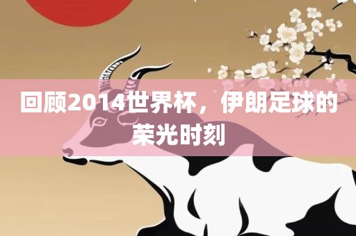 回顾2014世界杯，伊朗足球的荣光时刻