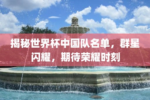 揭秘世界杯中国队名单，群星闪耀，期待荣耀时刻