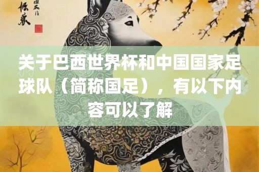关于巴西世界杯和中国国家足球队（简称国足），有以下内容可以了解