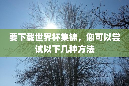要下载世界杯集锦，您可以尝试以下几种方法金炬实业股份有限公司