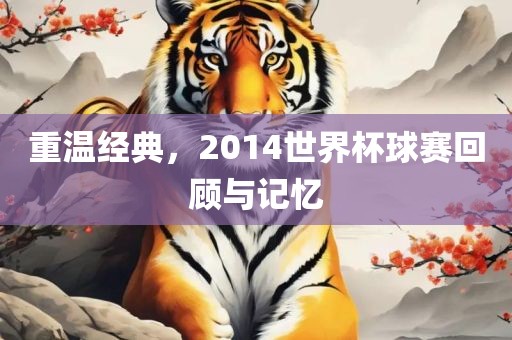 重温经典，2014世界杯球赛回顾与记忆