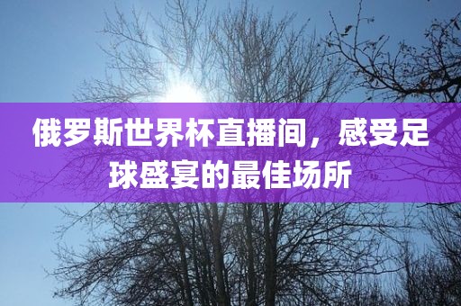 俄罗斯世界杯直播间，感受足球盛宴的最佳场所