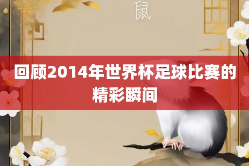 回顾2014年世界杯足球比赛的精彩瞬间