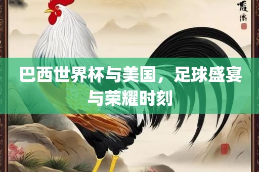 巴西世界杯与美国，足球盛宴与荣耀时刻
