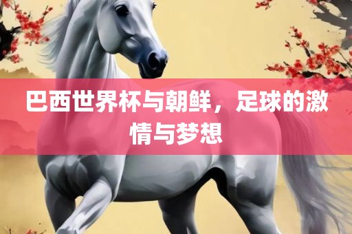 巴西世界杯与朝鲜，足球的激情与梦想