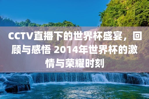 CCTV直播下的世界杯盛宴，回顾与感悟 2014年世界杯的激情与荣耀时刻