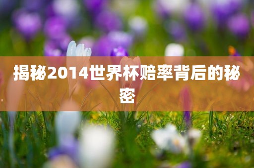揭秘2014世界杯赔率背后的秘密