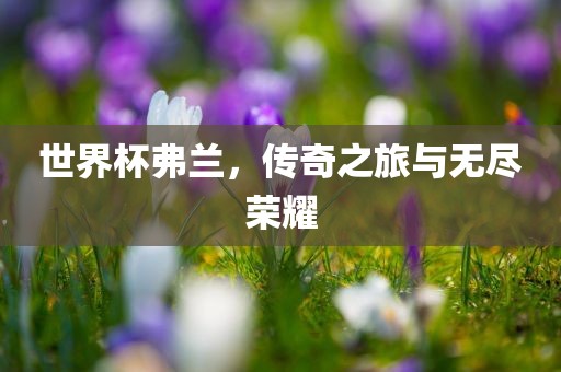 世界杯弗兰，传奇之旅与无尽荣耀