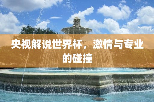 央视解说世界杯，激情与专业的碰撞