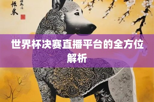 世界杯决赛直播平台的全方位解析