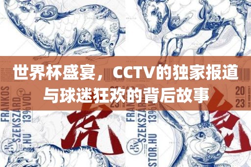 世界杯盛宴，CCTV的独家报道与球迷狂欢的背后故事
