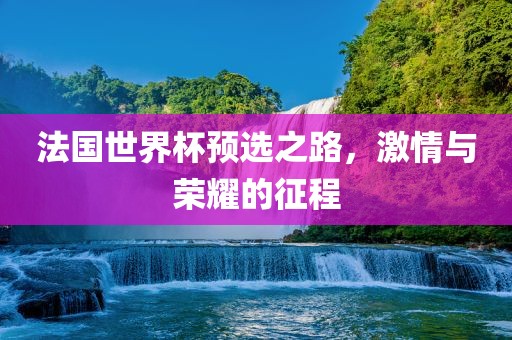 法国世界杯预选之路，激情与荣耀的征程