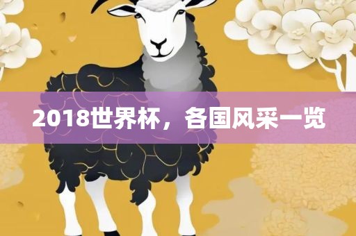 2018世界杯，各国风采一览
