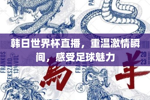 韩日世界杯直播，重温激情瞬间，感受足球魅力