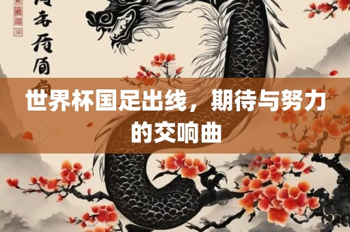 世界杯国足出线，期待与努力的交响曲