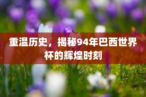 重温历史，揭秘94年巴西世界杯的辉煌时刻