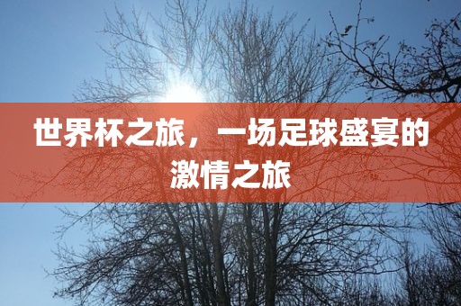 世界杯之旅，一场足球盛宴的激情之旅