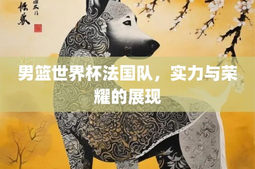 男篮世界杯法国队，实力与荣耀的展现