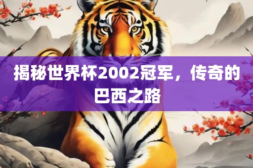 揭秘世界杯2002冠军，传奇的巴西之路