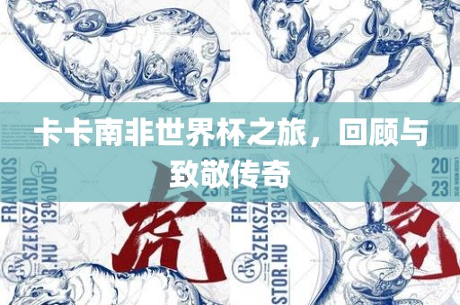 卡卡南非世界杯之旅，回顾与致敬传奇