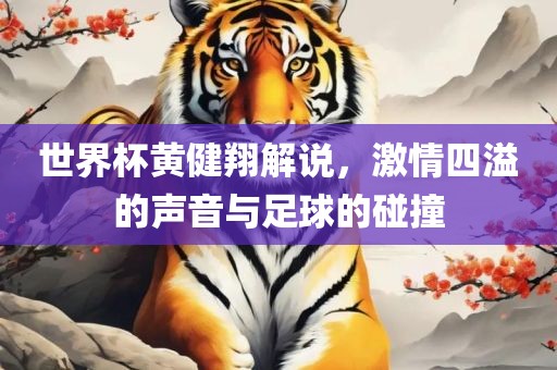 世界杯黄健翔解说，激情四溢的声音与足球的碰撞
