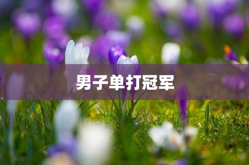 男子单打冠军