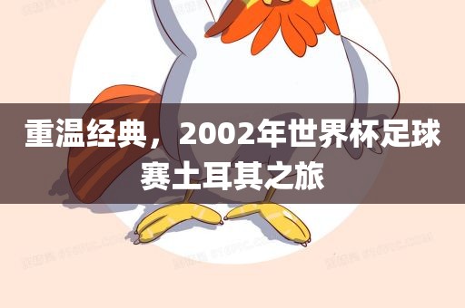 重温经典，2002年世界杯足球赛土耳其之旅