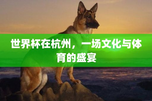 世界杯在杭州，一场文化与体育的盛宴