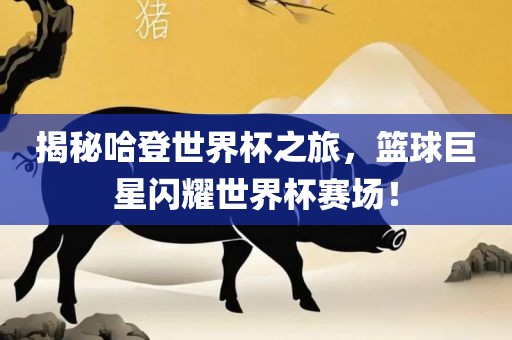 揭秘哈登世界杯之旅，篮球巨星闪耀世界杯赛场！