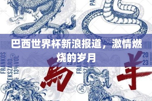 巴西世界杯新浪报道，激情燃烧的岁月