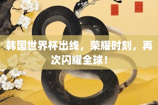 韩国世界杯出线，荣耀时刻，再次闪耀全球！