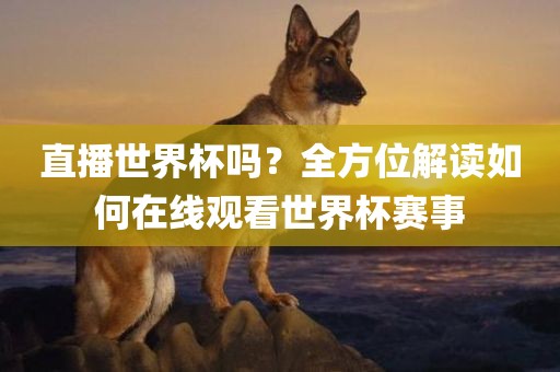 直播世界杯吗？全方位解读如何在线观看世界杯赛事