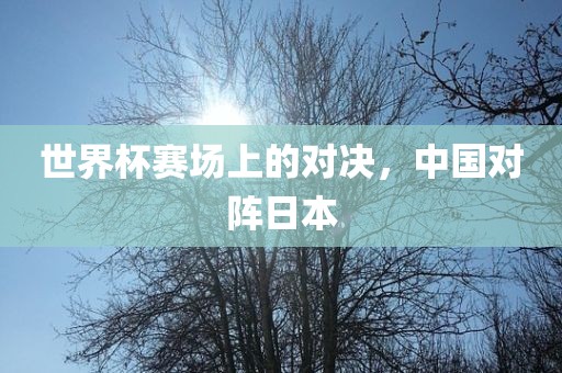 世界杯赛场上的对决，中国对阵日本