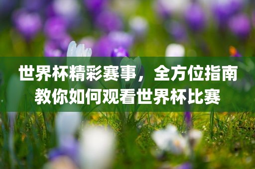 世界杯精彩赛事，全方位指南教你如何观看世界杯比赛