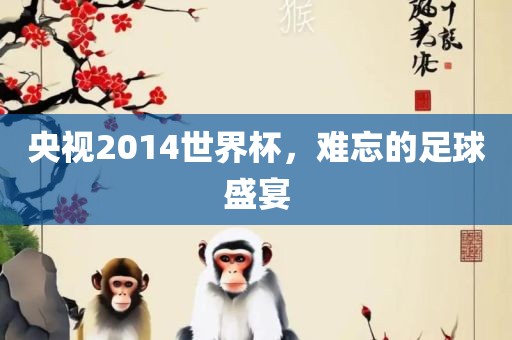 央视2014世界杯，难忘的足球盛宴